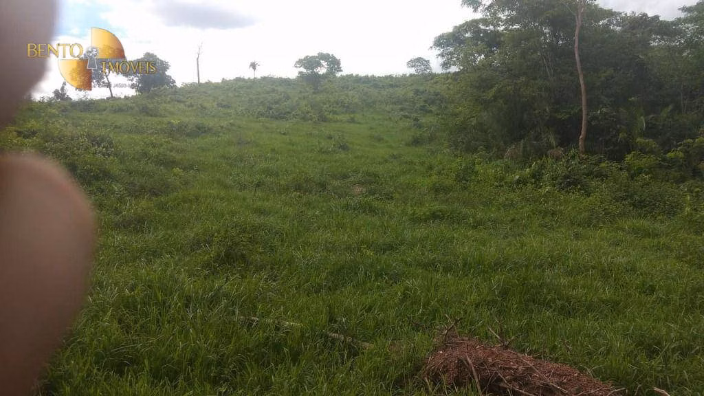 Fazenda de 984 ha em Guiratinga, MT