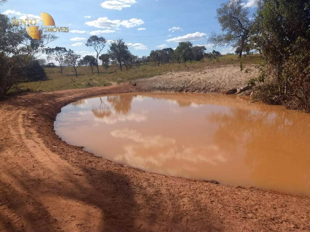 Fazenda de 984 ha em Guiratinga, MT