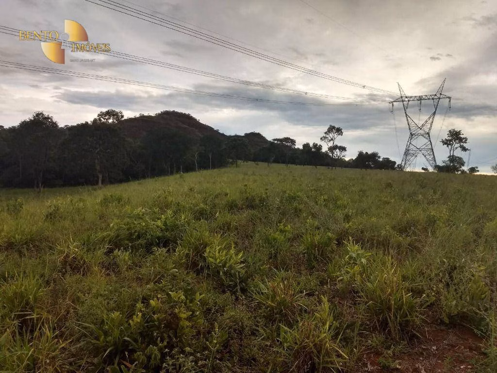 Fazenda de 984 ha em Guiratinga, MT
