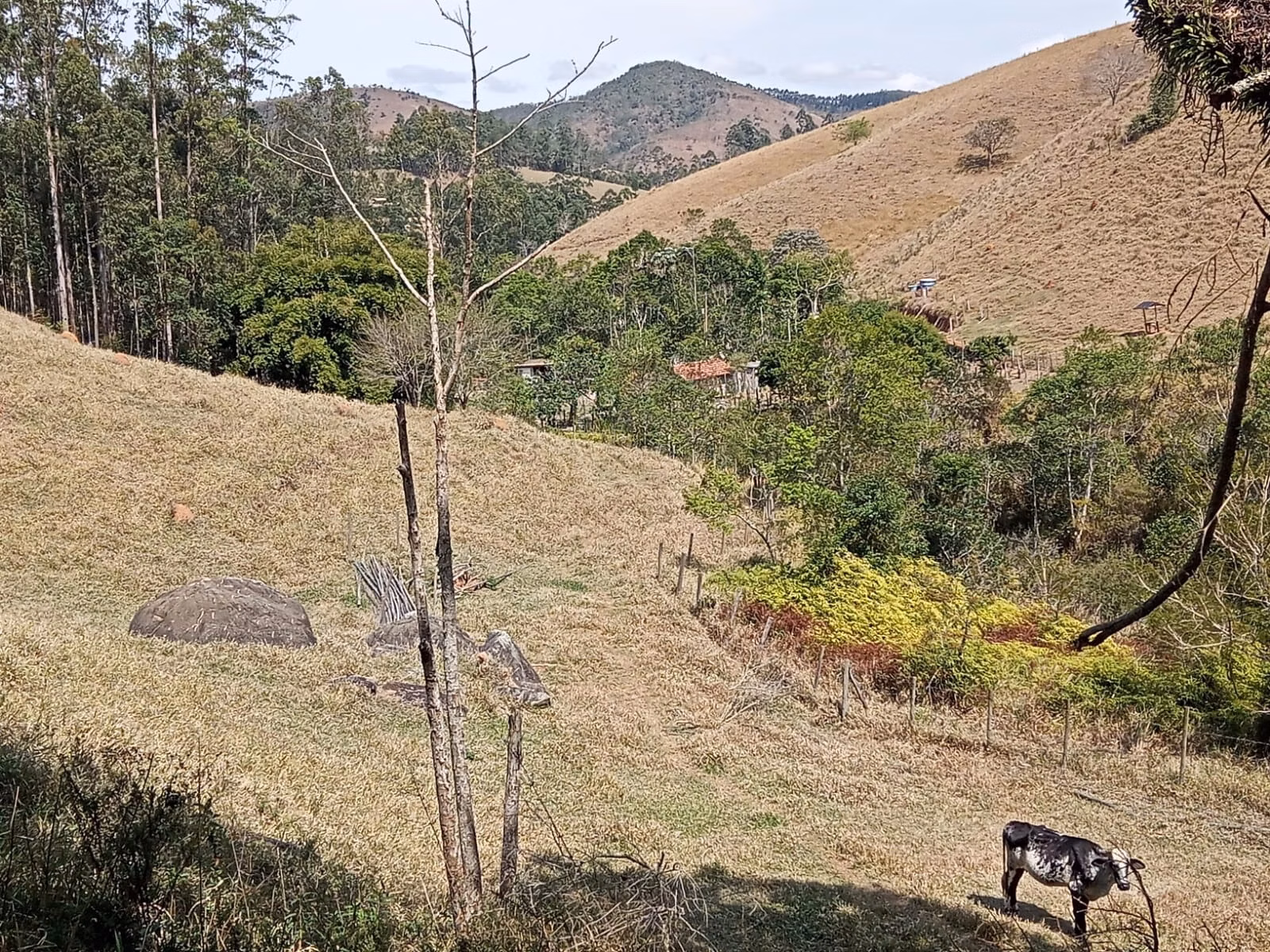 Small farm of 24 acres in Paraibuna, SP, Brazil