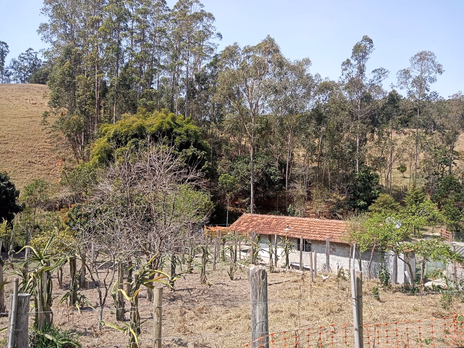 Small farm of 24 acres in Paraibuna, SP, Brazil