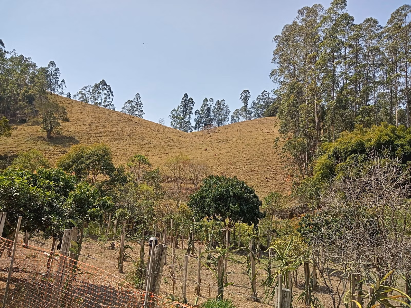 Small farm of 24 acres in Paraibuna, SP, Brazil