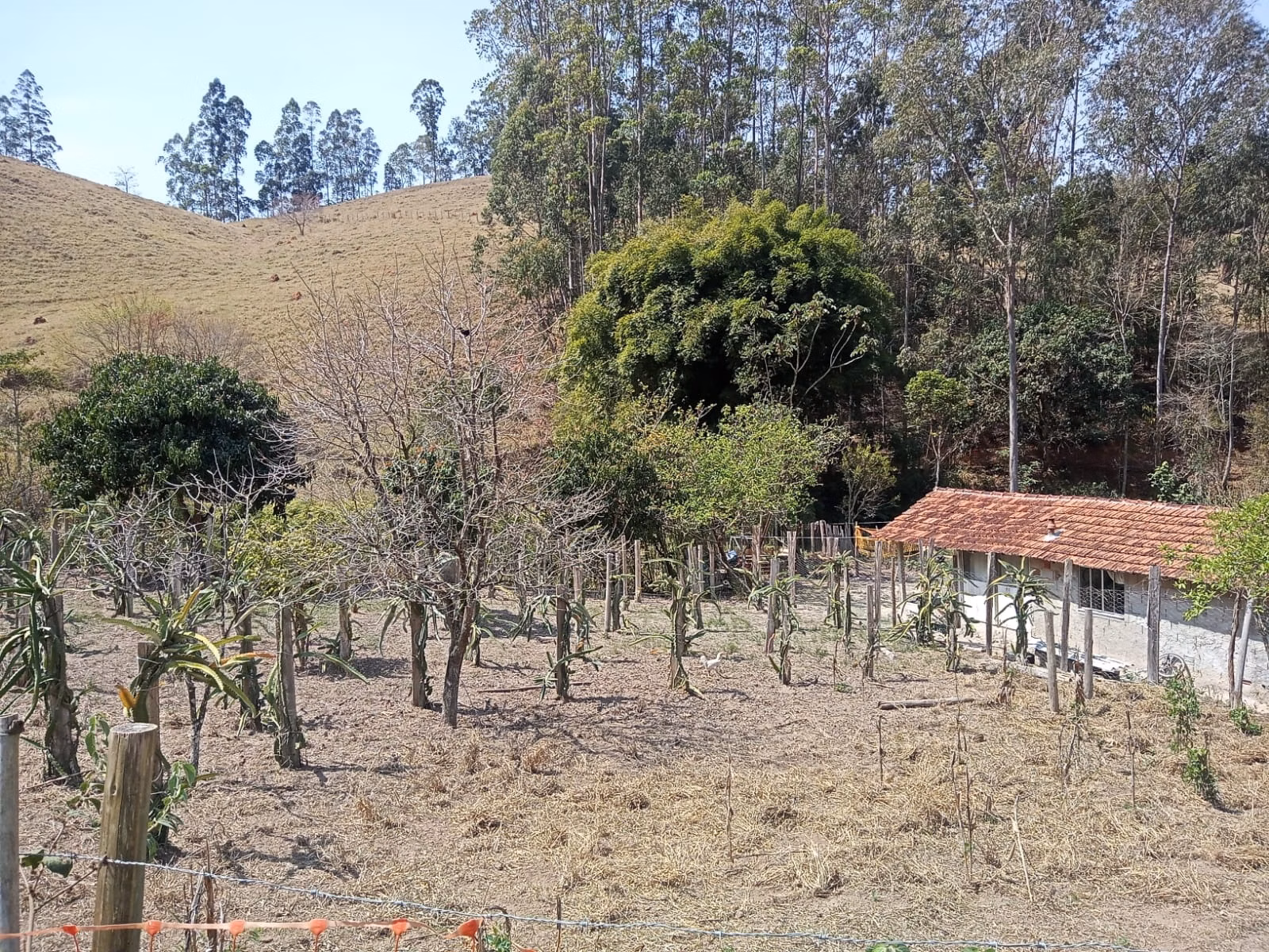 Small farm of 24 acres in Paraibuna, SP, Brazil