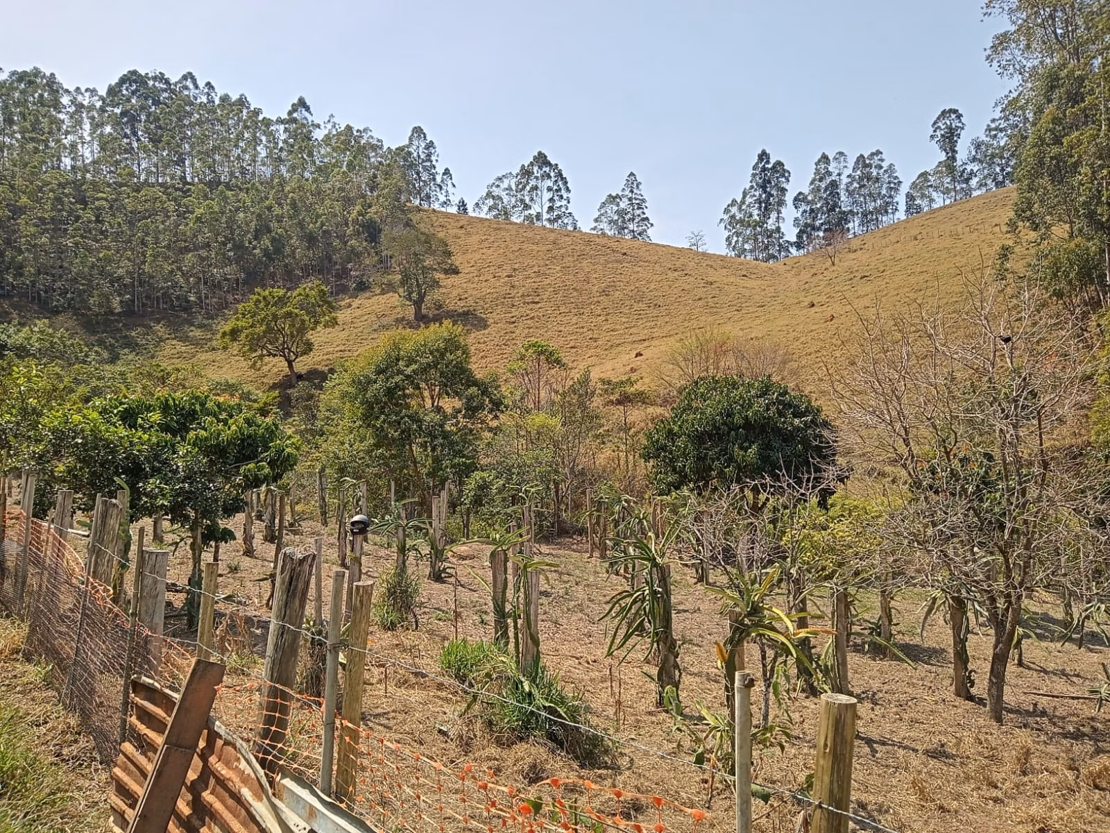 Small farm of 24 acres in Paraibuna, SP, Brazil