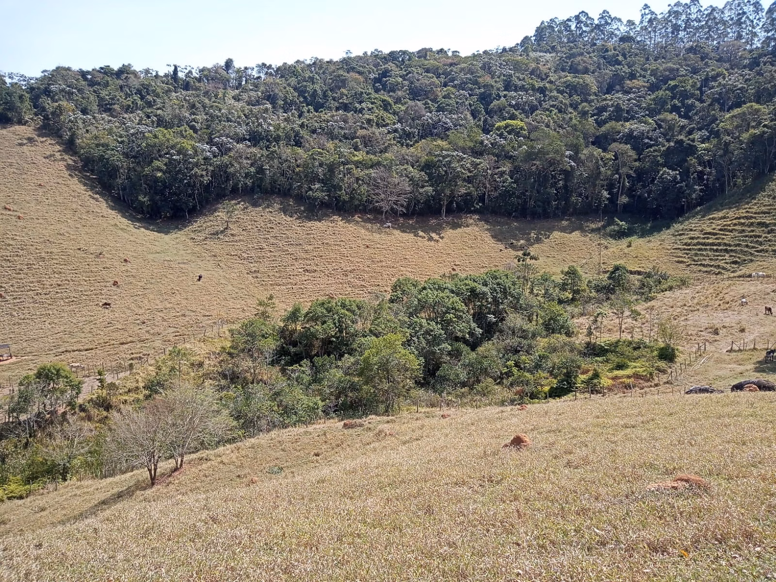 Small farm of 24 acres in Paraibuna, SP, Brazil