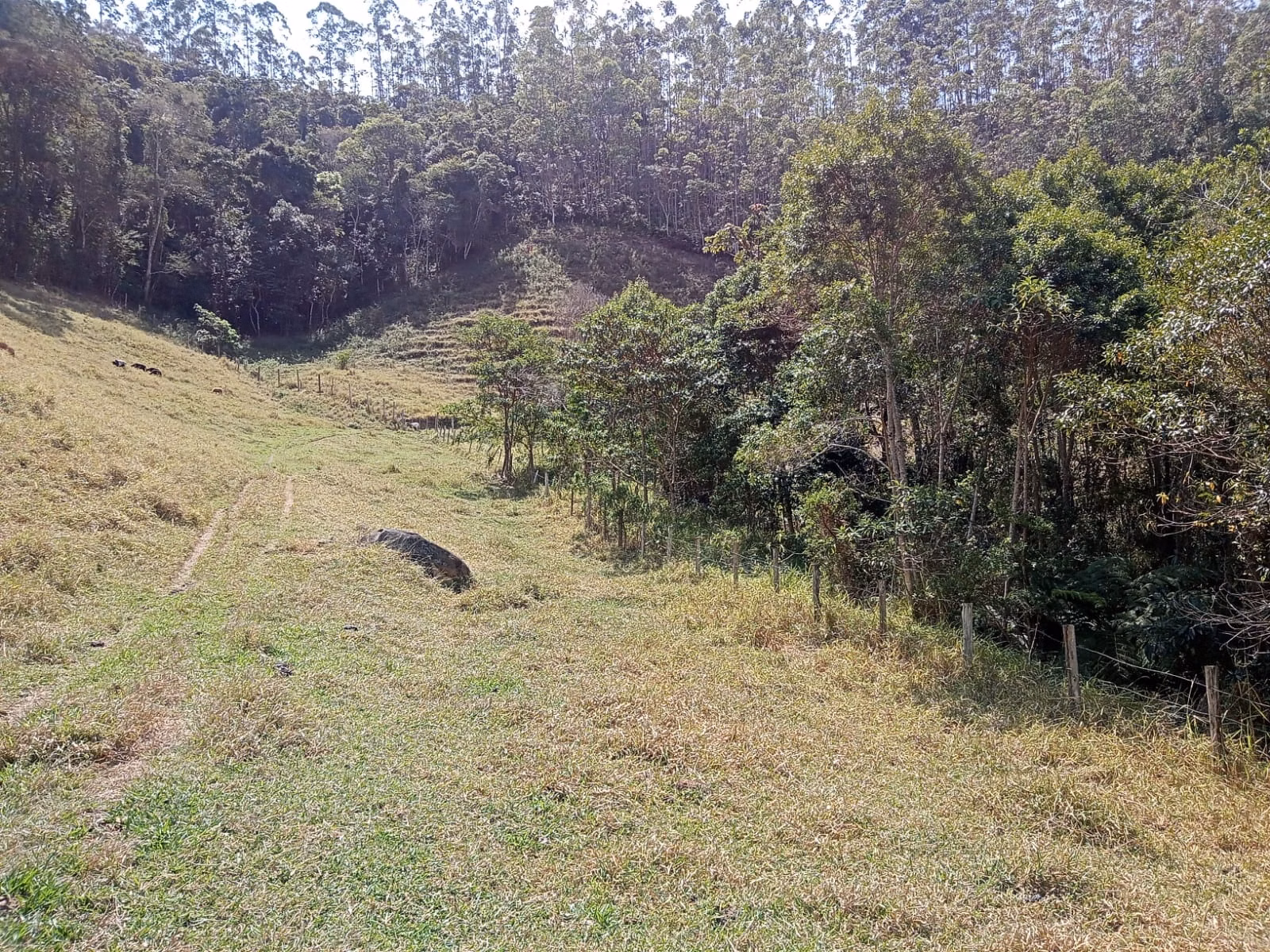 Small farm of 24 acres in Paraibuna, SP, Brazil