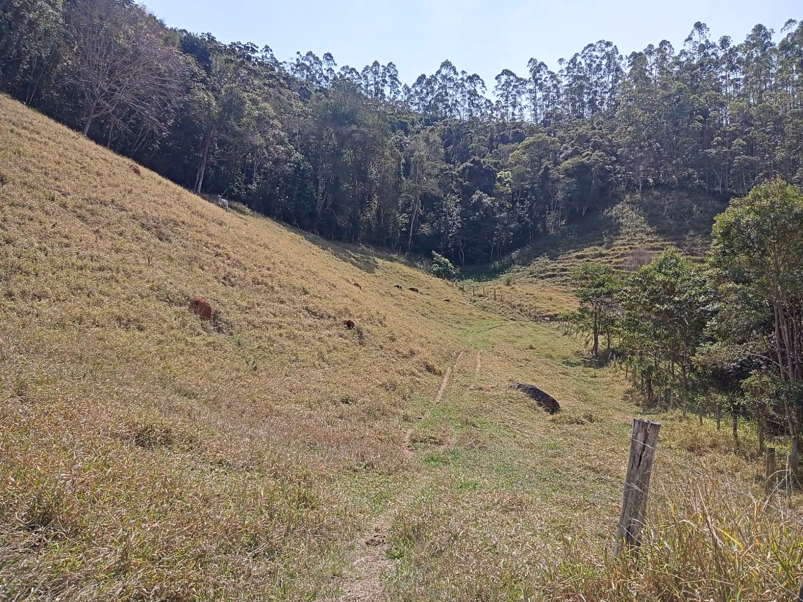 Small farm of 24 acres in Paraibuna, SP, Brazil
