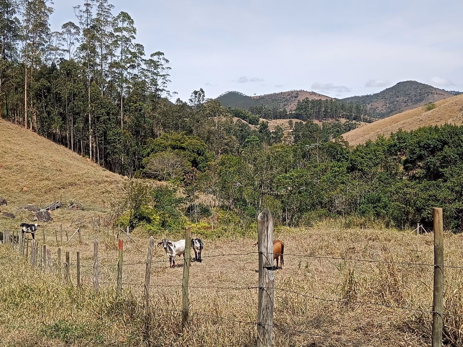 Small farm of 24 acres in Paraibuna, SP, Brazil