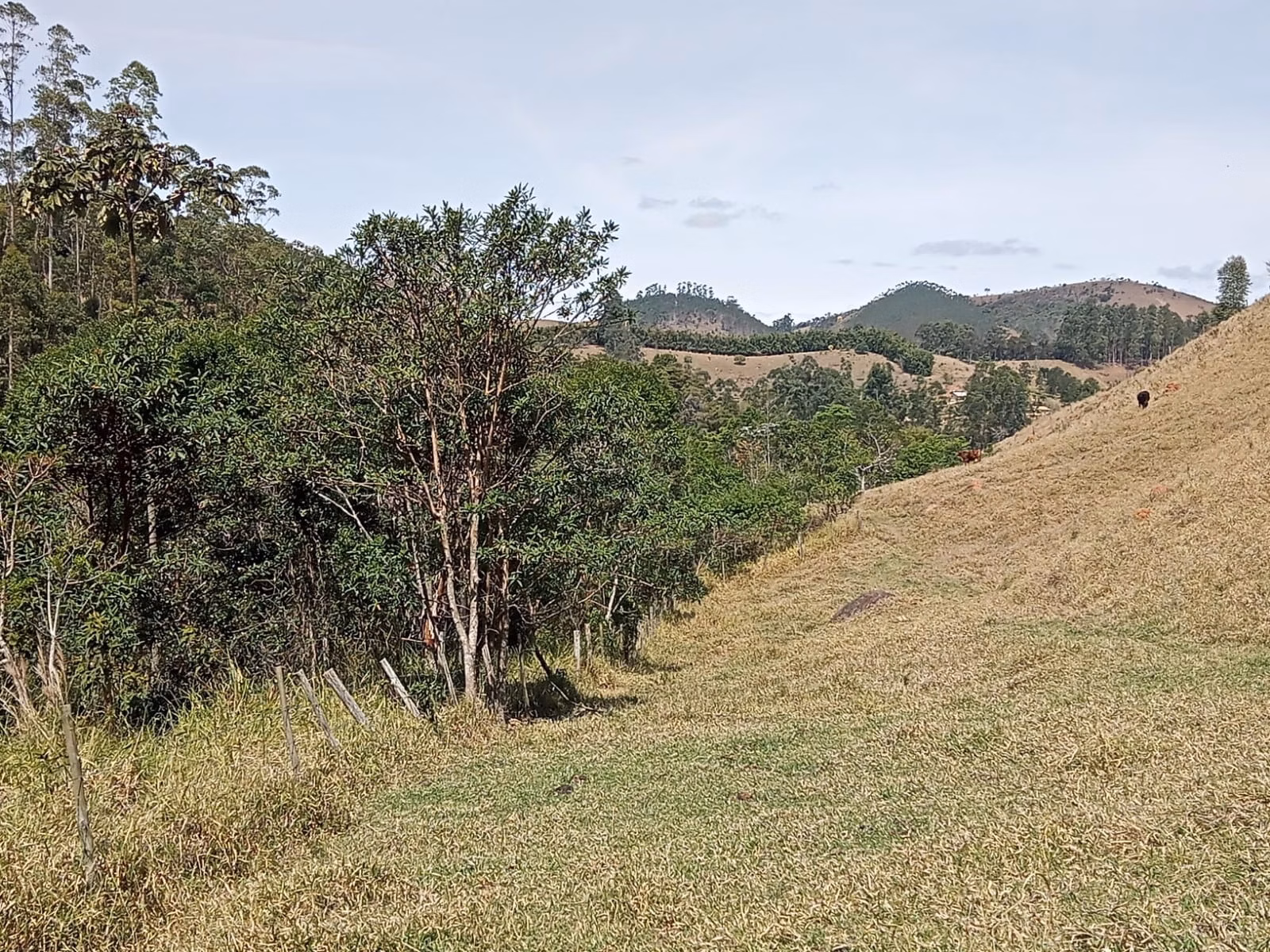 Small farm of 24 acres in Paraibuna, SP, Brazil