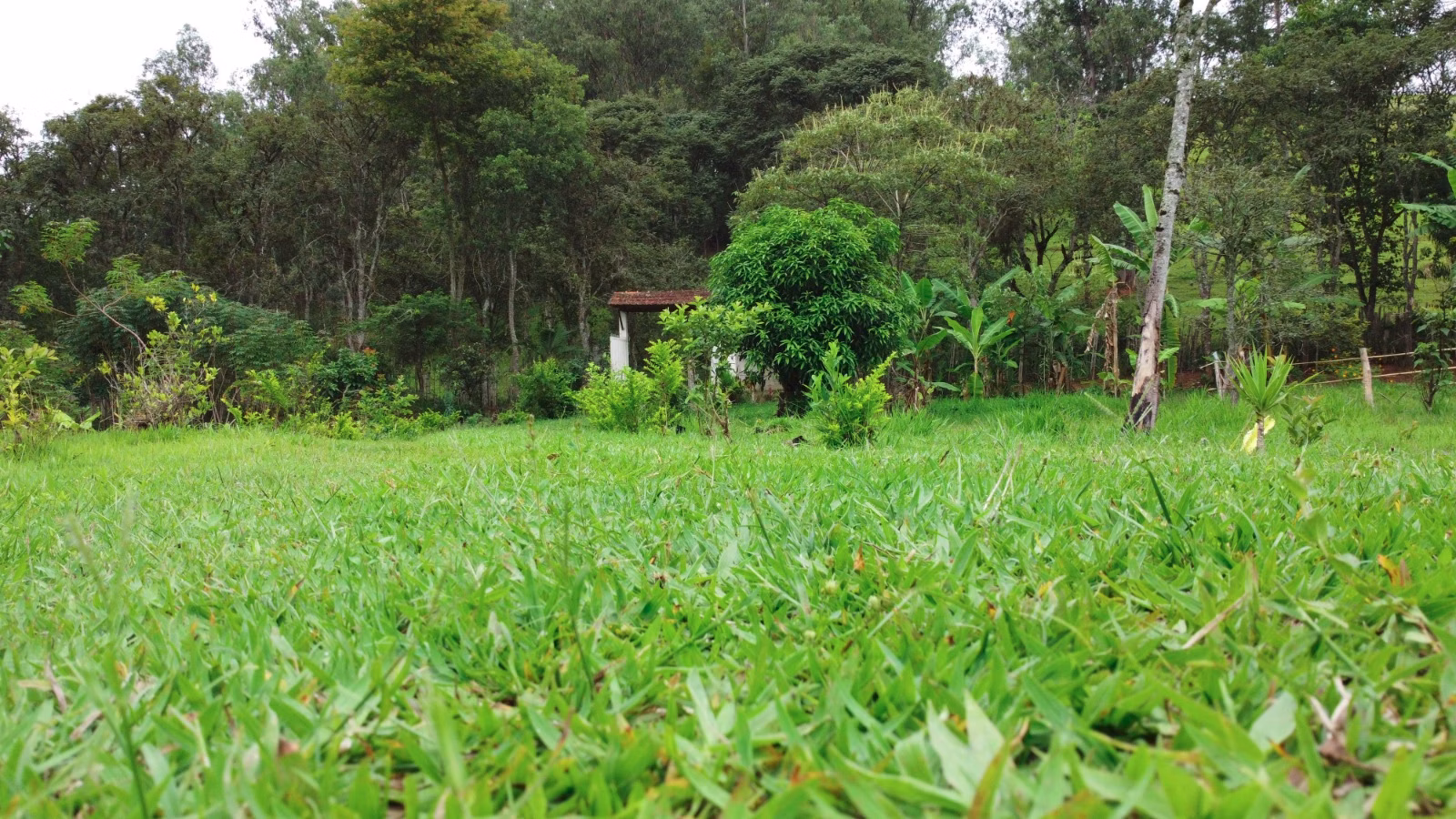 Chácara de 7.000 m² em Brazópolis, MG