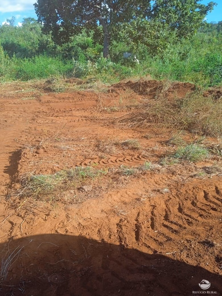 Fazenda de 1.534 ha em Barro Alto, GO