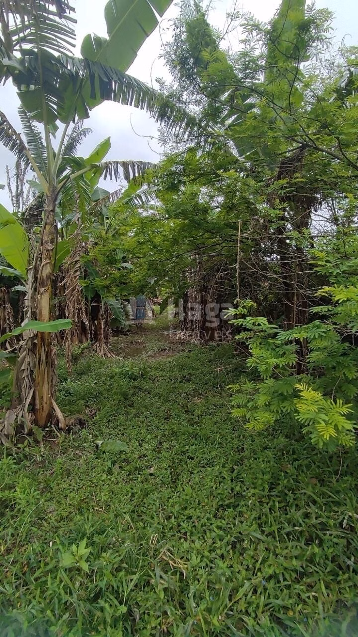 Country home of 6 acres in São João Batista, SC, Brazil