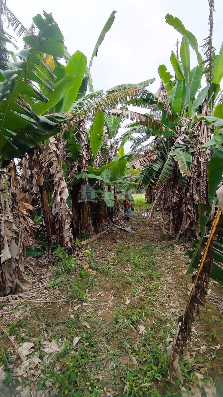 Country home of 6 acres in São João Batista, SC, Brazil