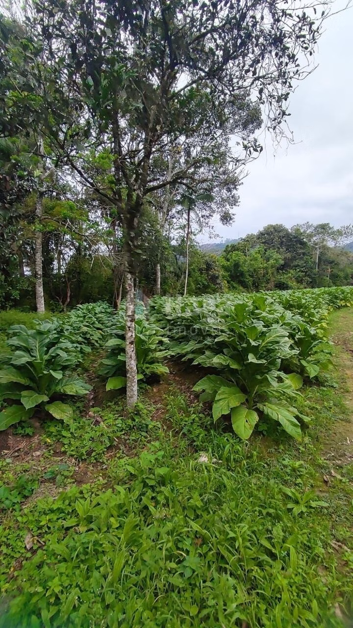 Country home of 6 acres in São João Batista, SC, Brazil