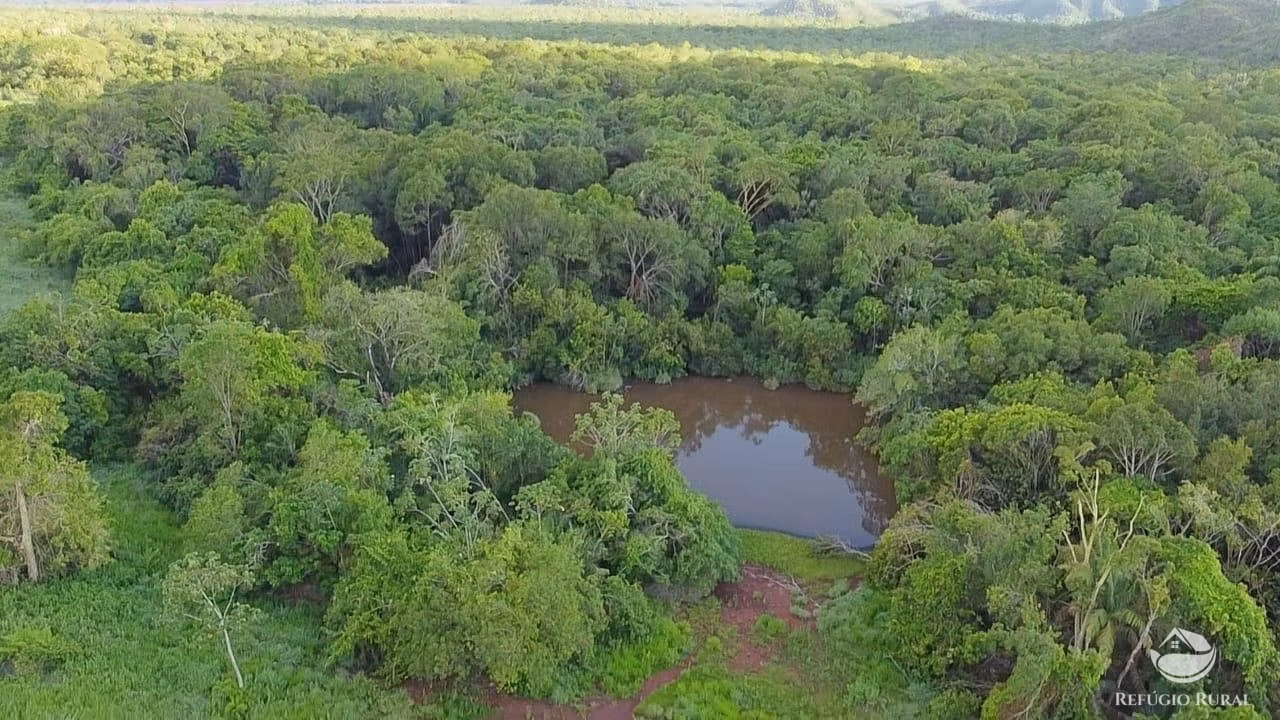 Fazenda de 1.684 ha em Montes Claros de Goiás, GO
