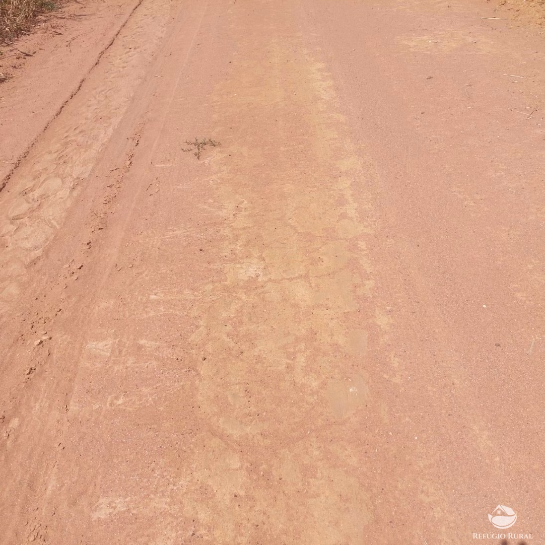 Fazenda de 2.395 ha em Jangada, MT