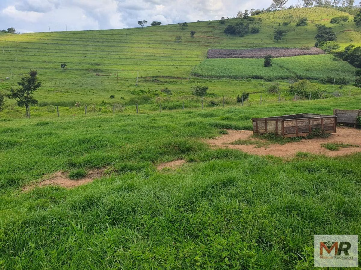 Farm of 576 acres in Itajubá, MG, Brazil