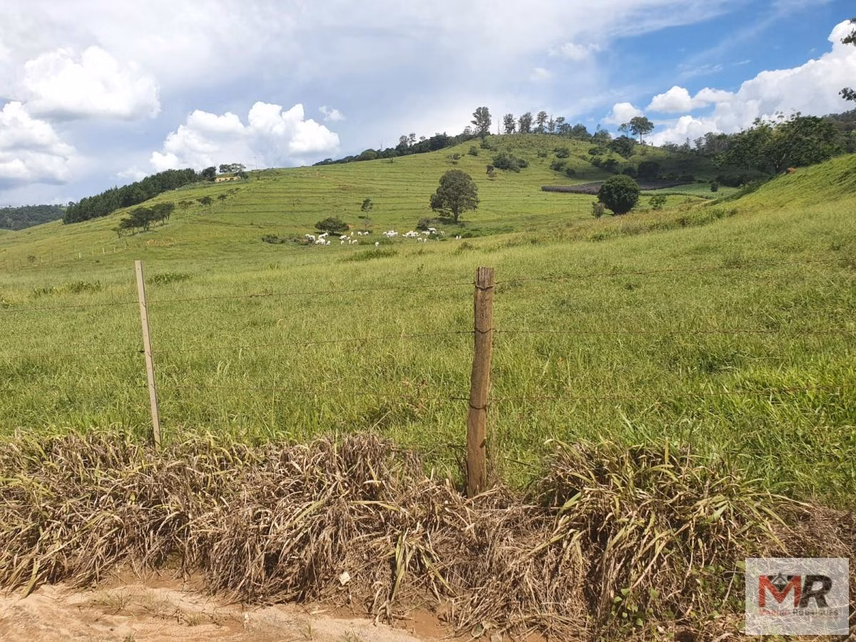 Farm of 576 acres in Itajubá, MG, Brazil