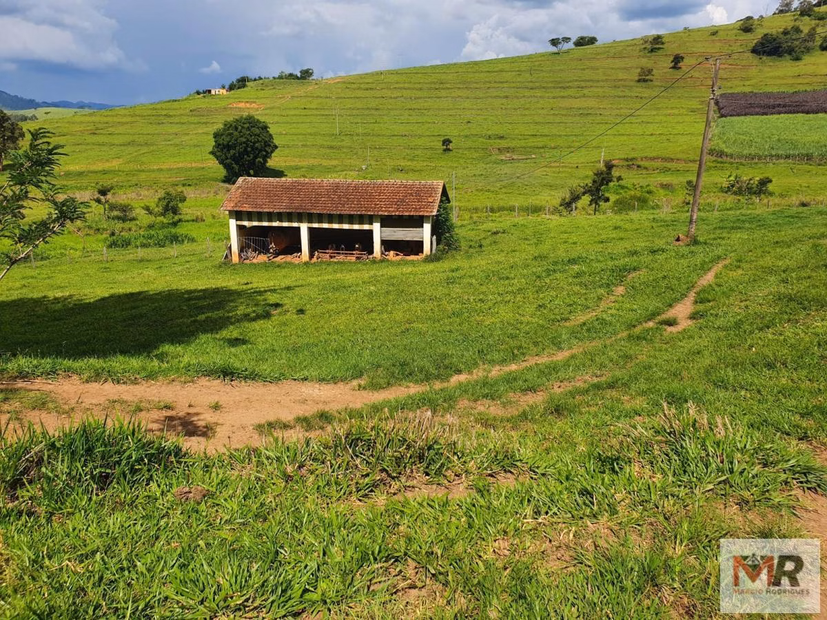 Farm of 576 acres in Itajubá, MG, Brazil