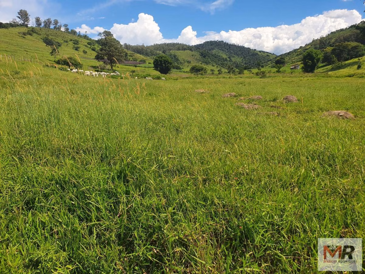 Farm of 576 acres in Itajubá, MG, Brazil