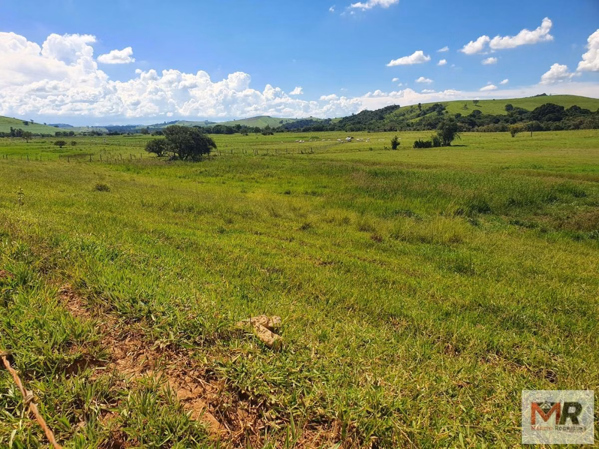Farm of 576 acres in Itajubá, MG, Brazil