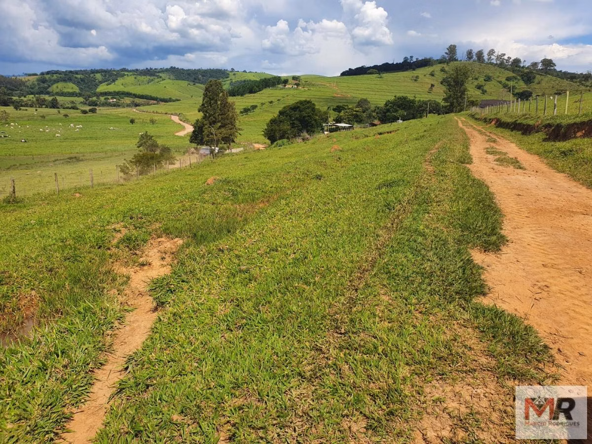 Farm of 576 acres in Itajubá, MG, Brazil