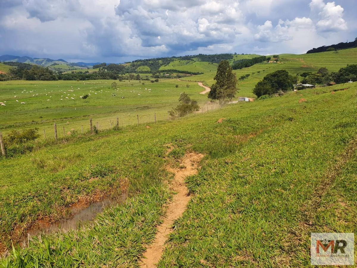 Farm of 576 acres in Itajubá, MG, Brazil