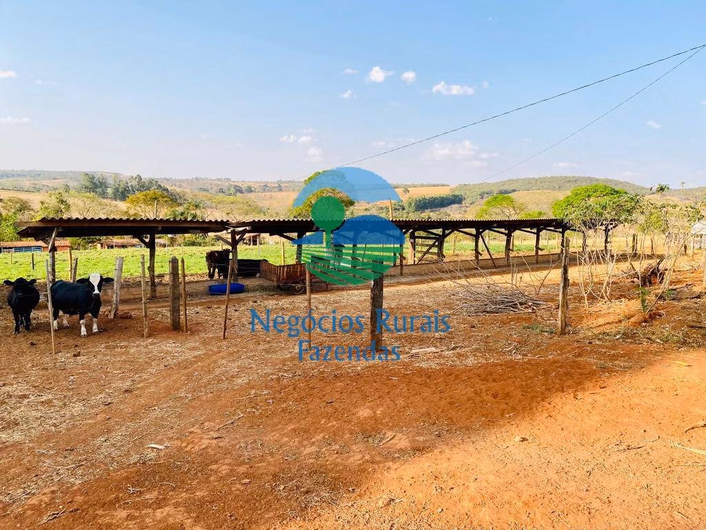 Country home of 12 acres in Bonópolis, GO, Brazil