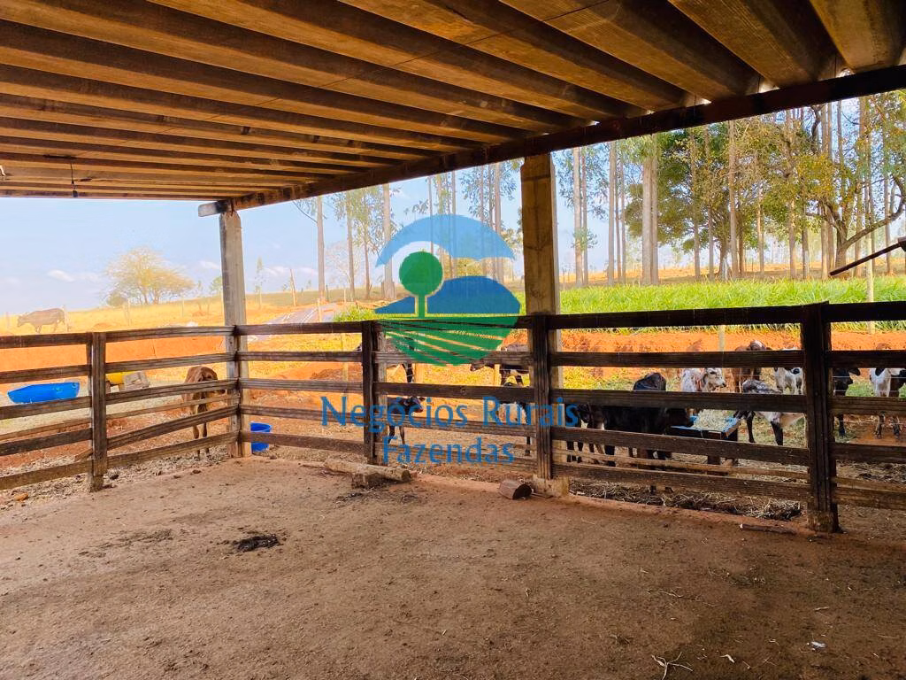 Country home of 12 acres in Bonópolis, GO, Brazil