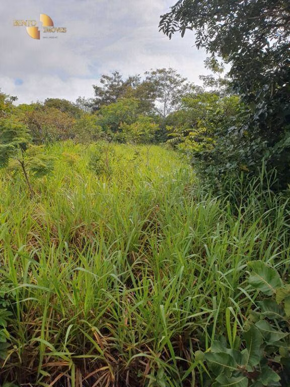 Fazenda de 1.128 ha em Nossa Senhora do Livramento, MT