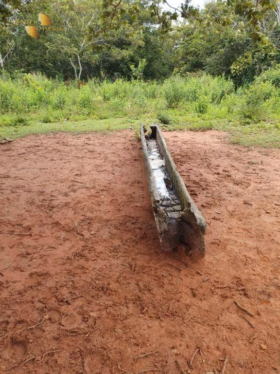 Fazenda de 1.128 ha em Nossa Senhora do Livramento, MT