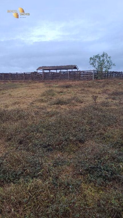 Fazenda de 3.855 ha em Jangada, MT