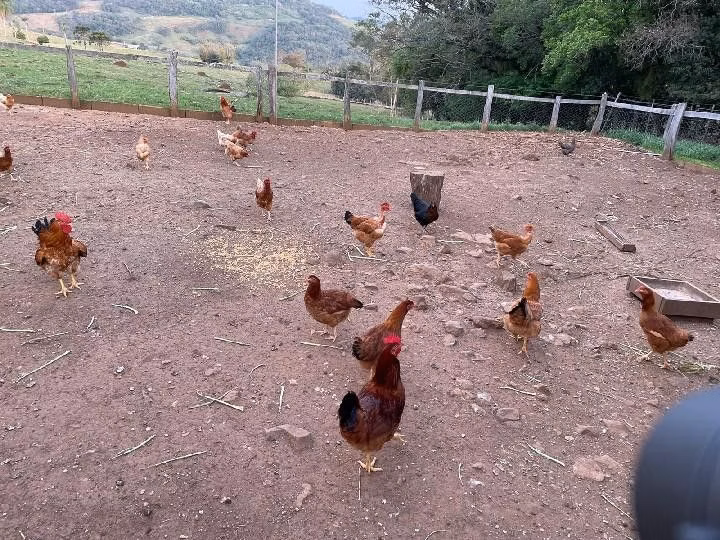 Sítio de 28 ha em Glorinha, RS