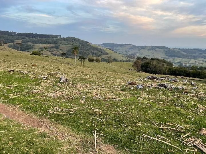 Sítio de 28 ha em Glorinha, RS
