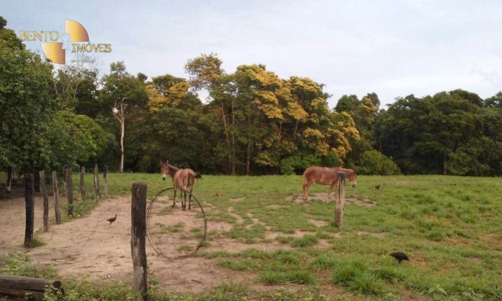 Fazenda de 4.837 ha em Gaúcha do Norte, MT