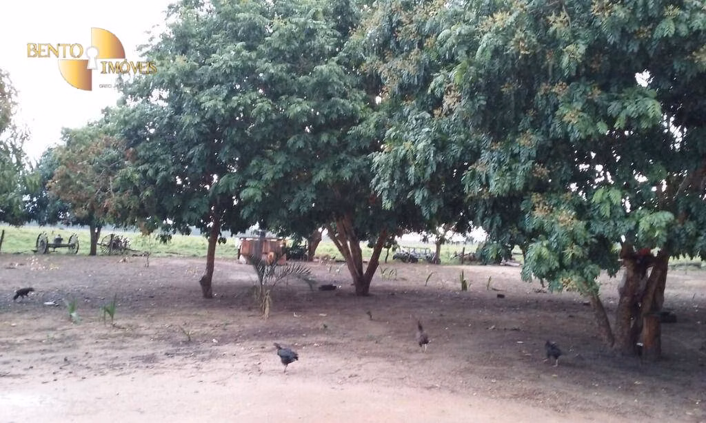 Fazenda de 4.837 ha em Gaúcha do Norte, MT