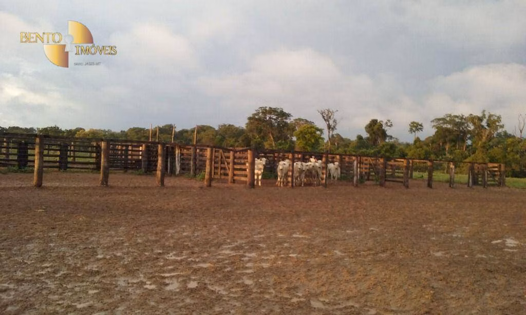 Fazenda de 4.837 ha em Gaúcha do Norte, MT