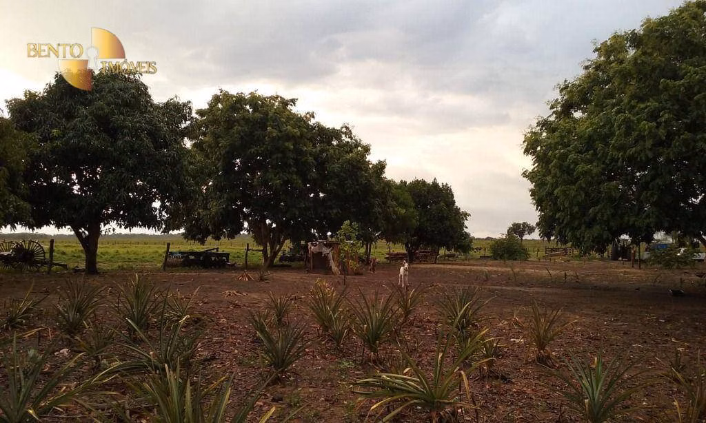 Fazenda de 4.837 ha em Gaúcha do Norte, MT