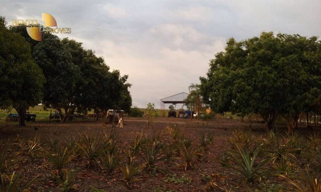 Fazenda de 4.837 ha em Gaúcha do Norte, MT