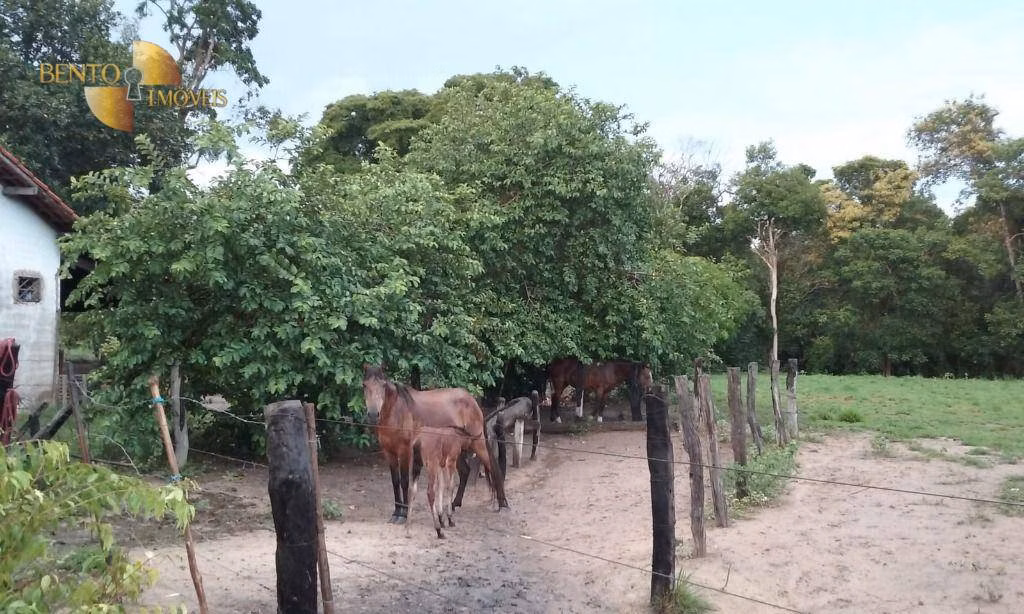 Fazenda de 4.837 ha em Gaúcha do Norte, MT