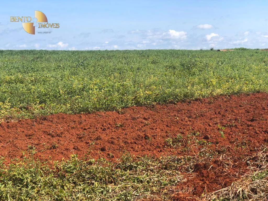 Fazenda de 13.161 ha em Vila Bela da Santíssima Trindade, MT