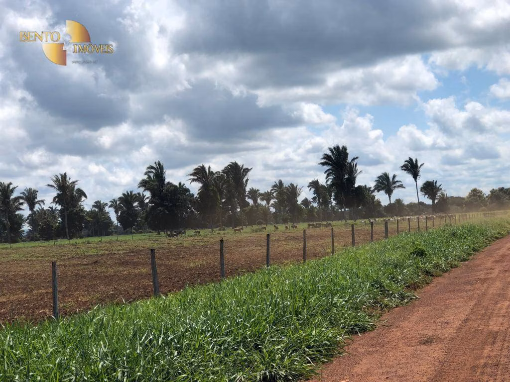 Fazenda de 13.161 ha em Vila Bela da Santíssima Trindade, MT