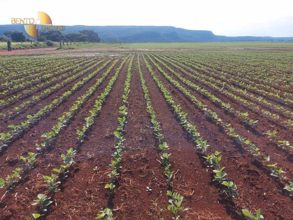 Fazenda de 13.161 ha em Vila Bela da Santíssima Trindade, MT