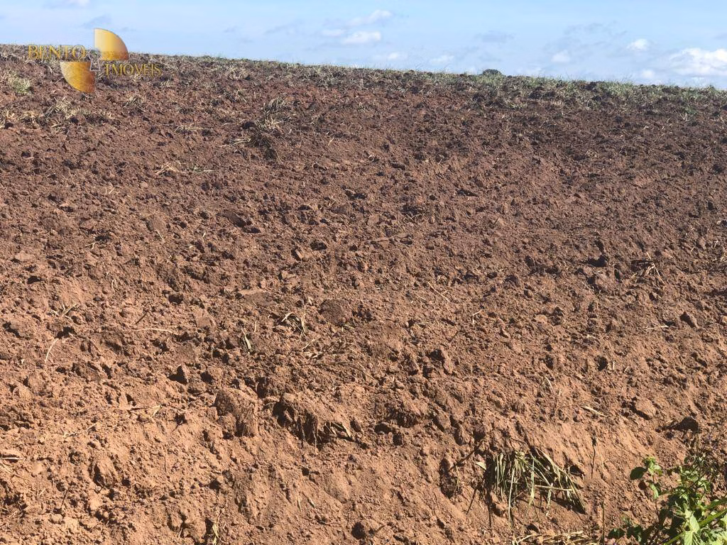 Fazenda de 13.161 ha em Vila Bela da Santíssima Trindade, MT