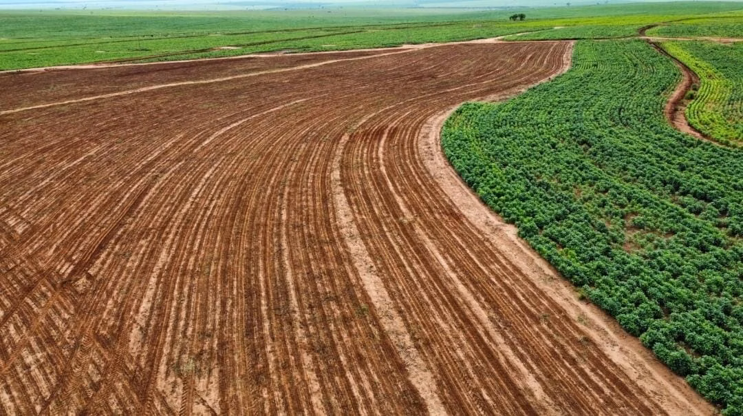 Fazenda de 540 ha em Presidente Epitácio, SP