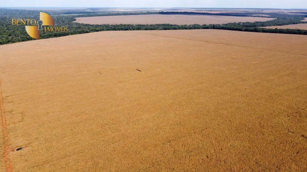 Fazenda de 3.600 ha em Tabaporã, MT