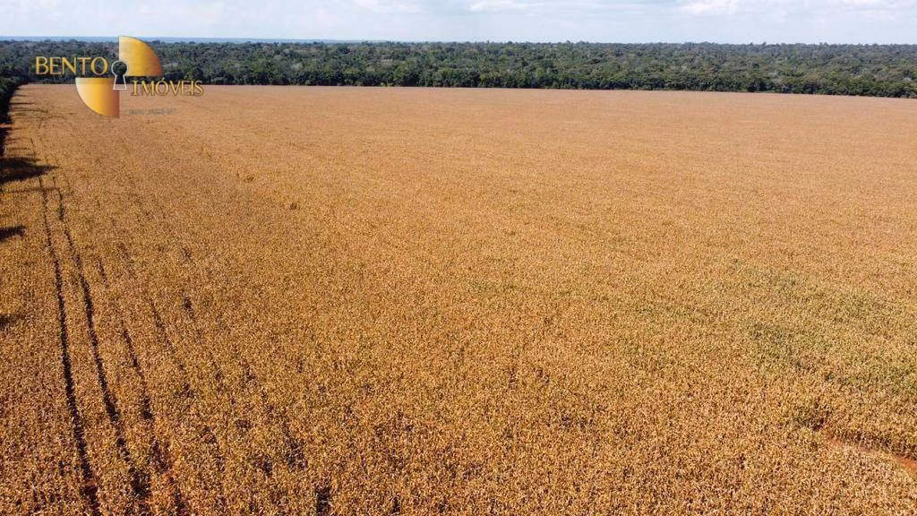 Fazenda de 3.600 ha em Tabaporã, MT