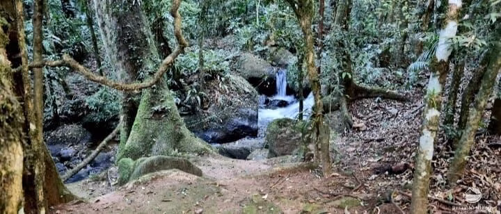 Small farm of 5 acres in São José dos Campos, SP, Brazil