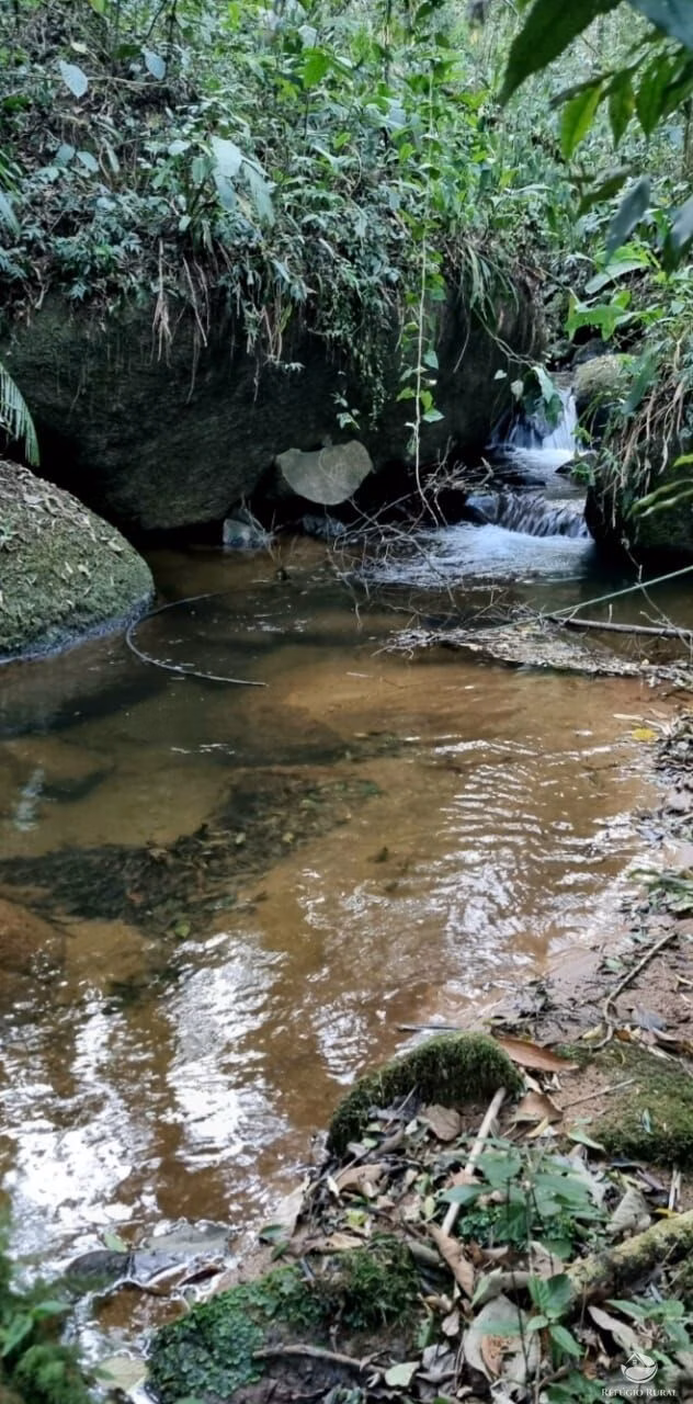 Small farm of 5 acres in São José dos Campos, SP, Brazil