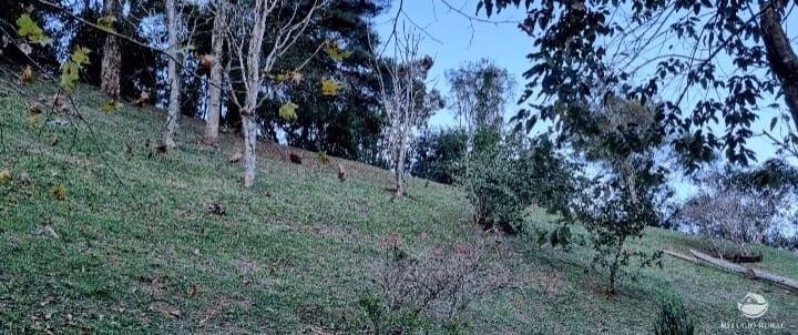 Small farm of 5 acres in São José dos Campos, SP, Brazil